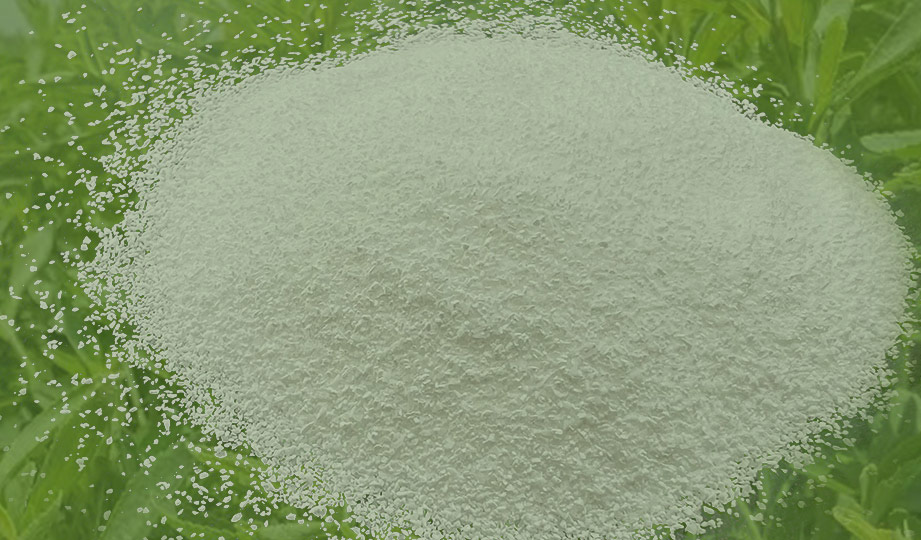 STEVIA 5001/5001 G